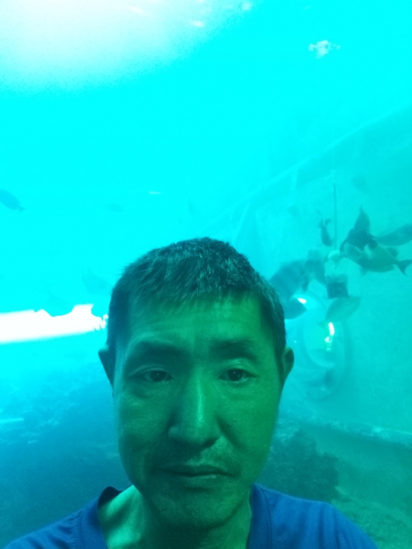 陸戰隊的第一张照片--六安相亲服务中心