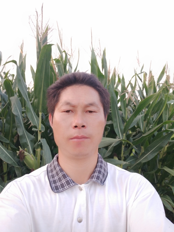 四海游龙的第二张照片--六安相亲服务中心