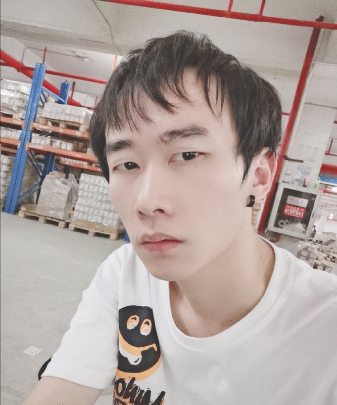 巷子里的猫的第一张照片--六安相亲服务中心