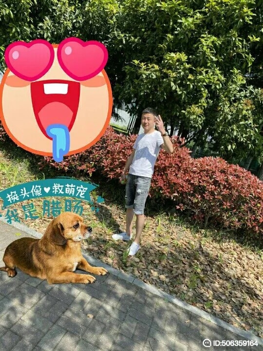 我若不坚强谁替我勇敢的第一张照片--六安相亲服务中心