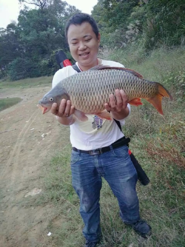 迷路的男人的第一张照片--六安相亲服务中心